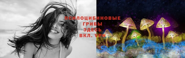 меф Заводоуковск