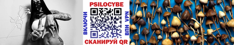 закладки  Стрежевой  Галлюциногенные грибы MAGIC MUSHROOMS 